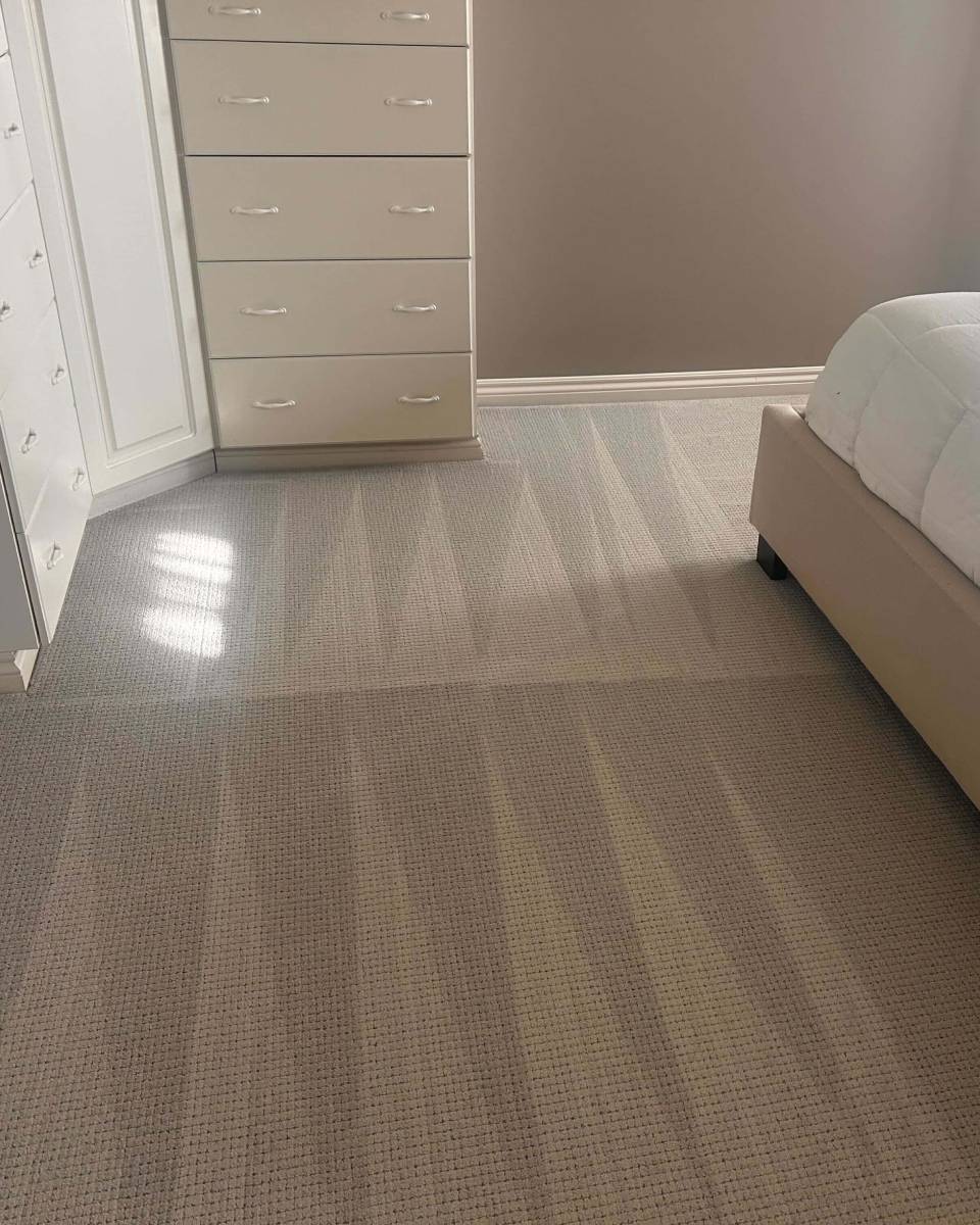 Carousel Carpet Lines